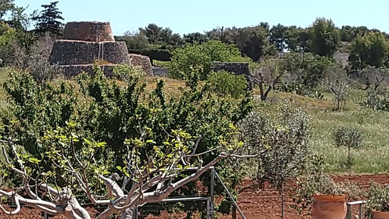 Villa Aurora Santa Maria al Bagno Luaran gambar